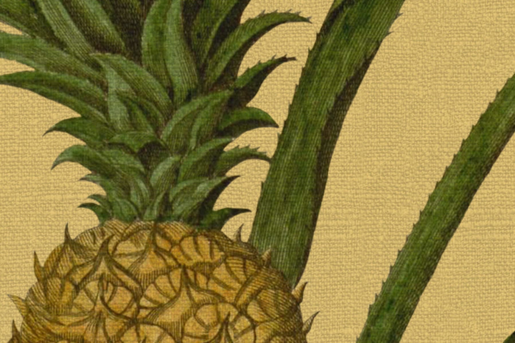Pineapple, Sunshine, Rebel Walls 4