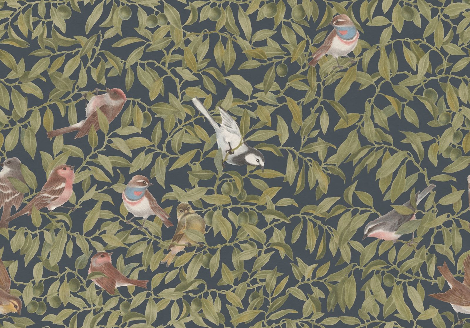 Backwood Birds, Albastru, Rebel Walls