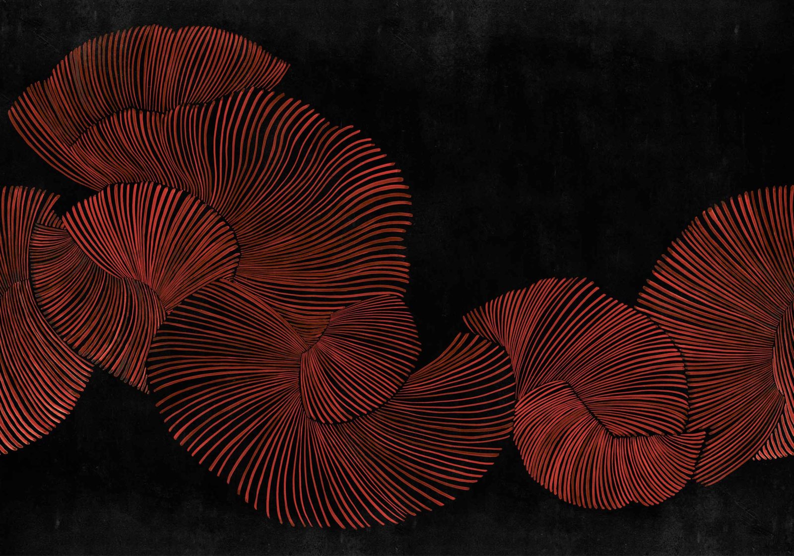 Diving Moment, Red, Coordonne