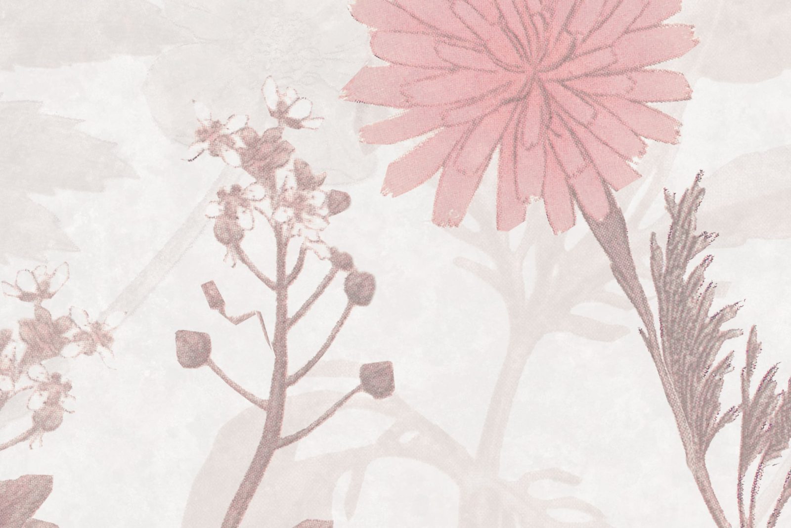 Stormy Meadow, Dusty Pink, Rebel Walls 4