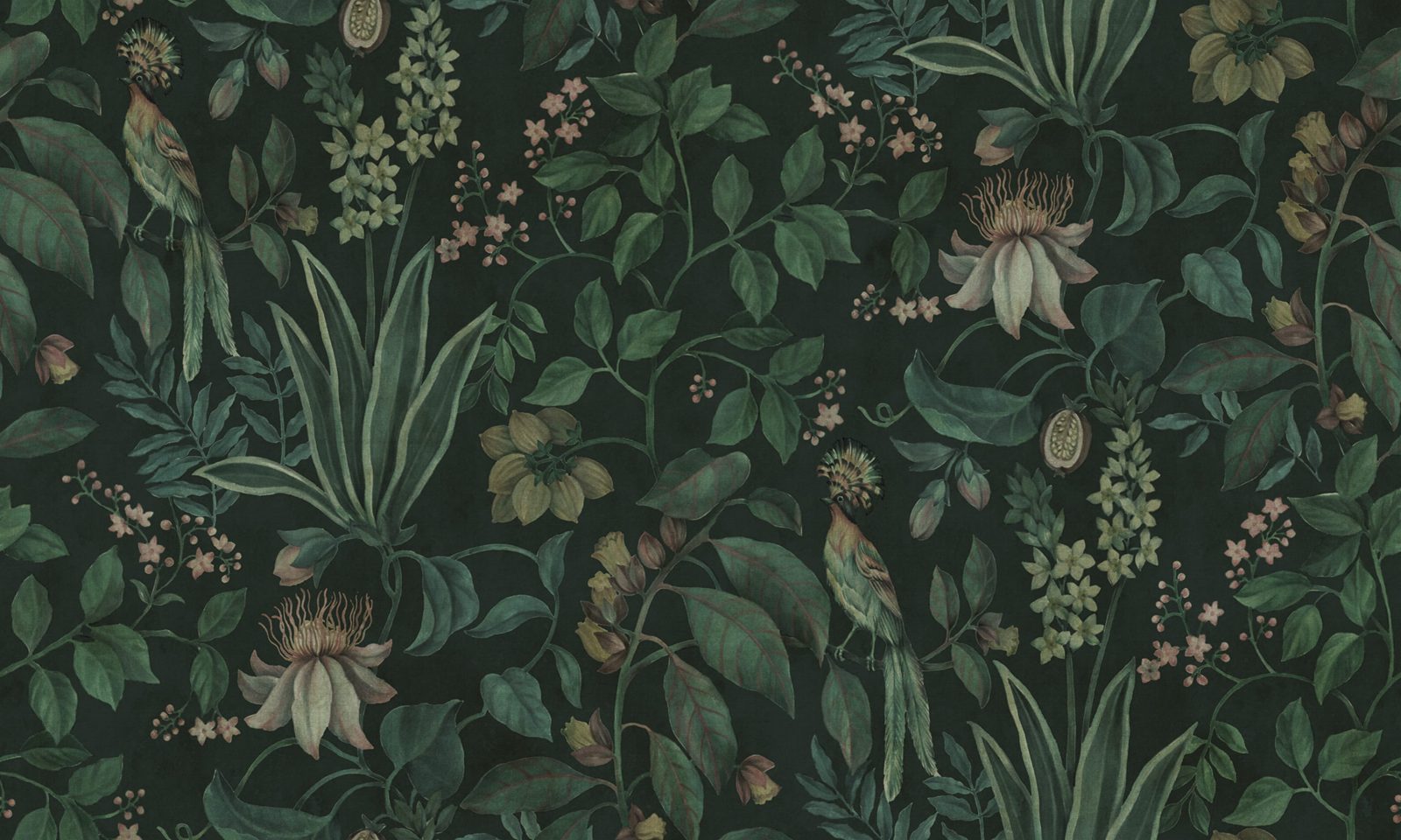 Tropical Harmony, Dark, Rebel Walls