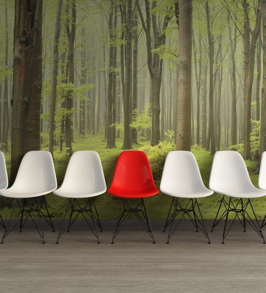 Deciduous Forest, Rebel Walls 4