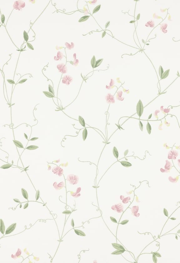 Sanna Light Pink, Sandberg, 5.3mp / rola