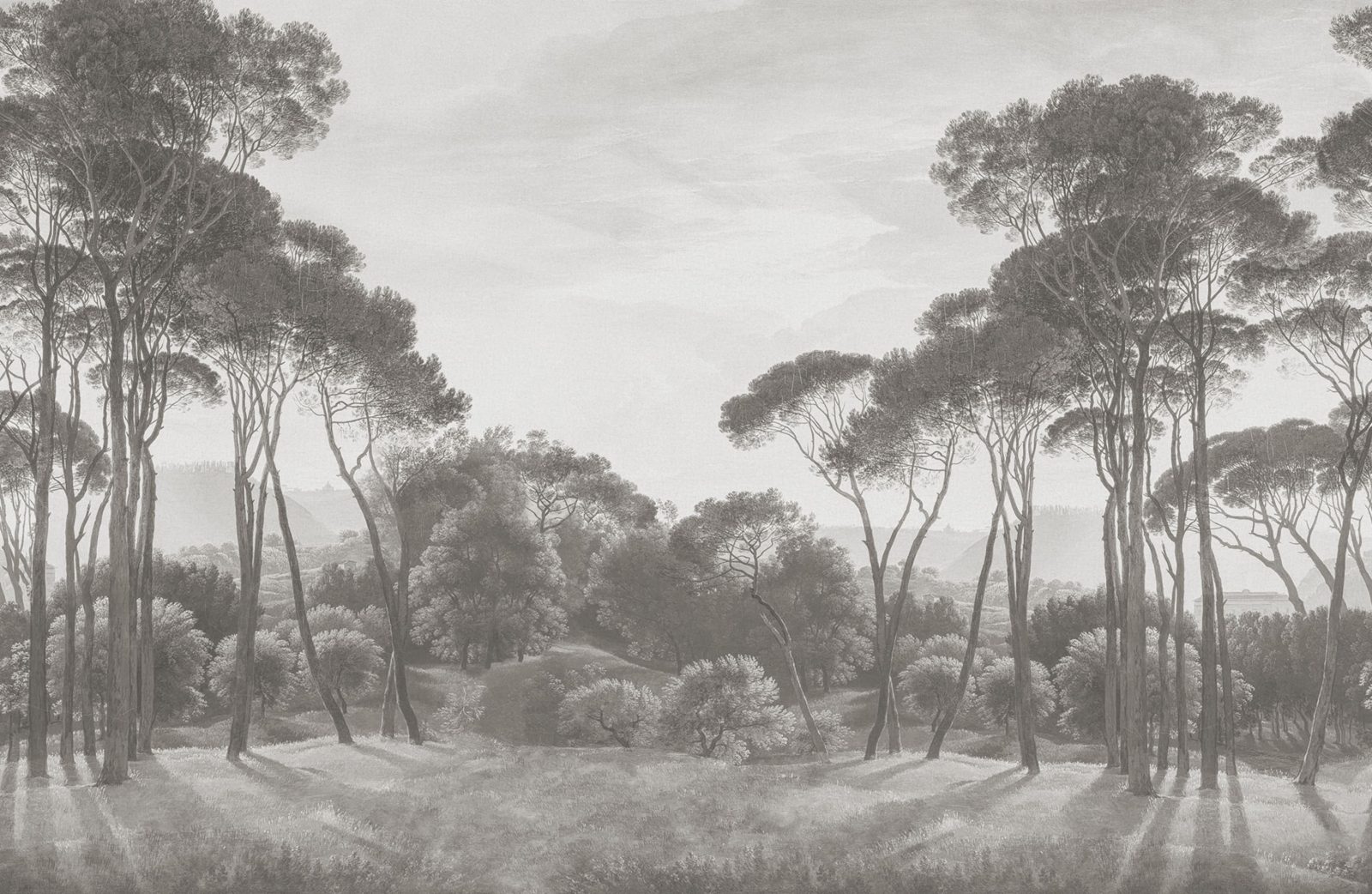 Pine Wood, Gray, Rebel Walls