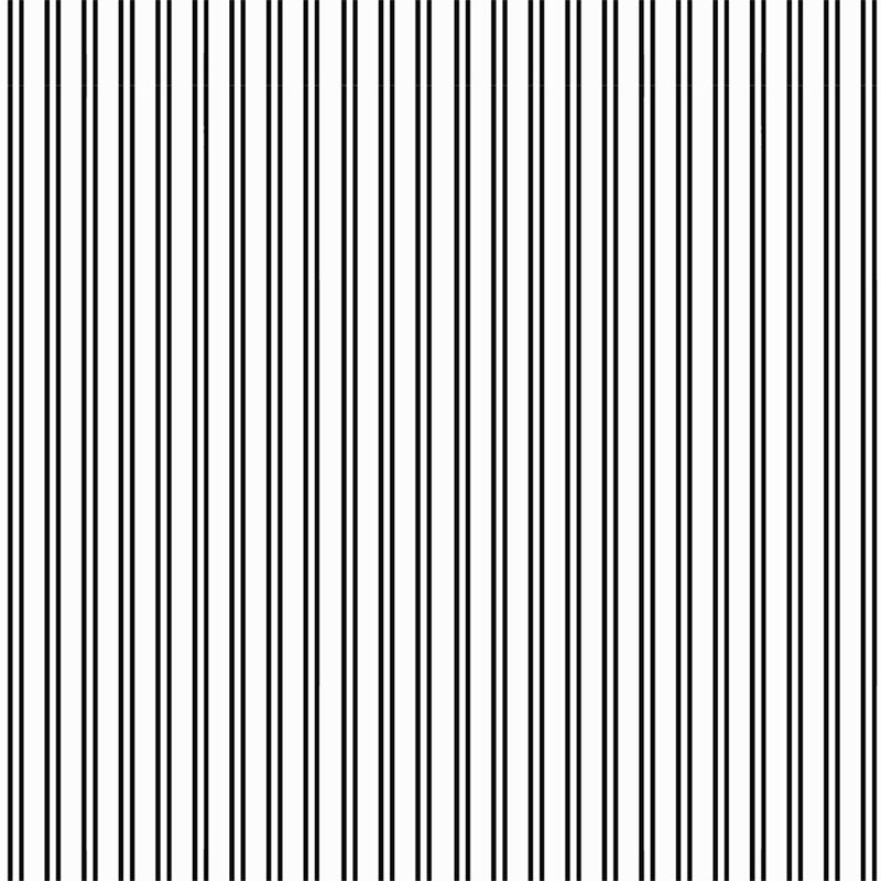 Black and White Stripes, VLAdiLA