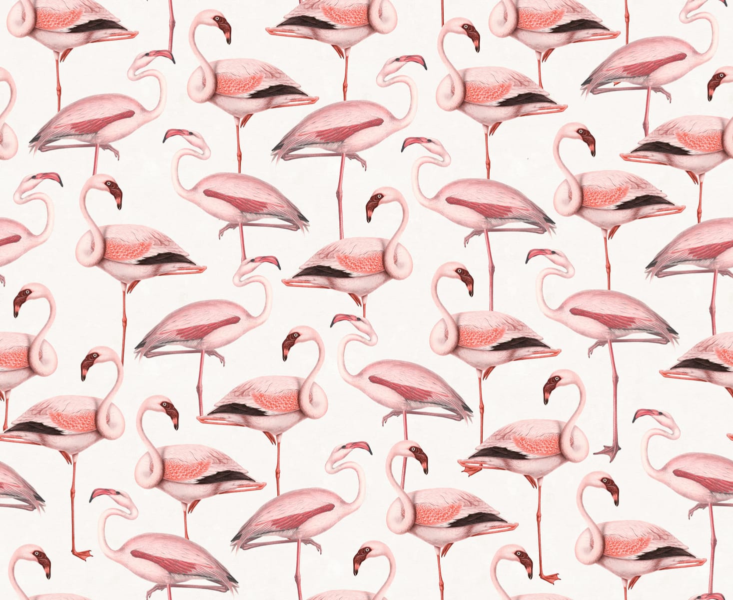 Flamingos, Soft Pink, Rebel Walls