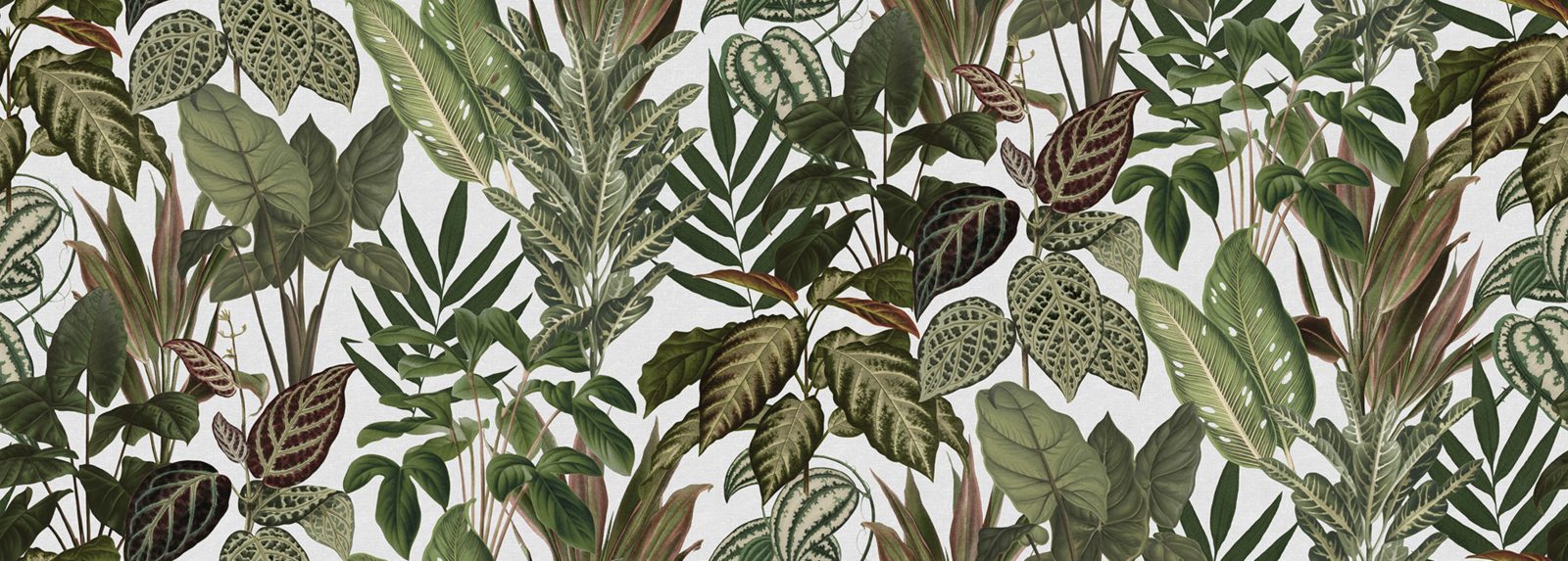 Mischievous Jungle, White, Rebel Walls