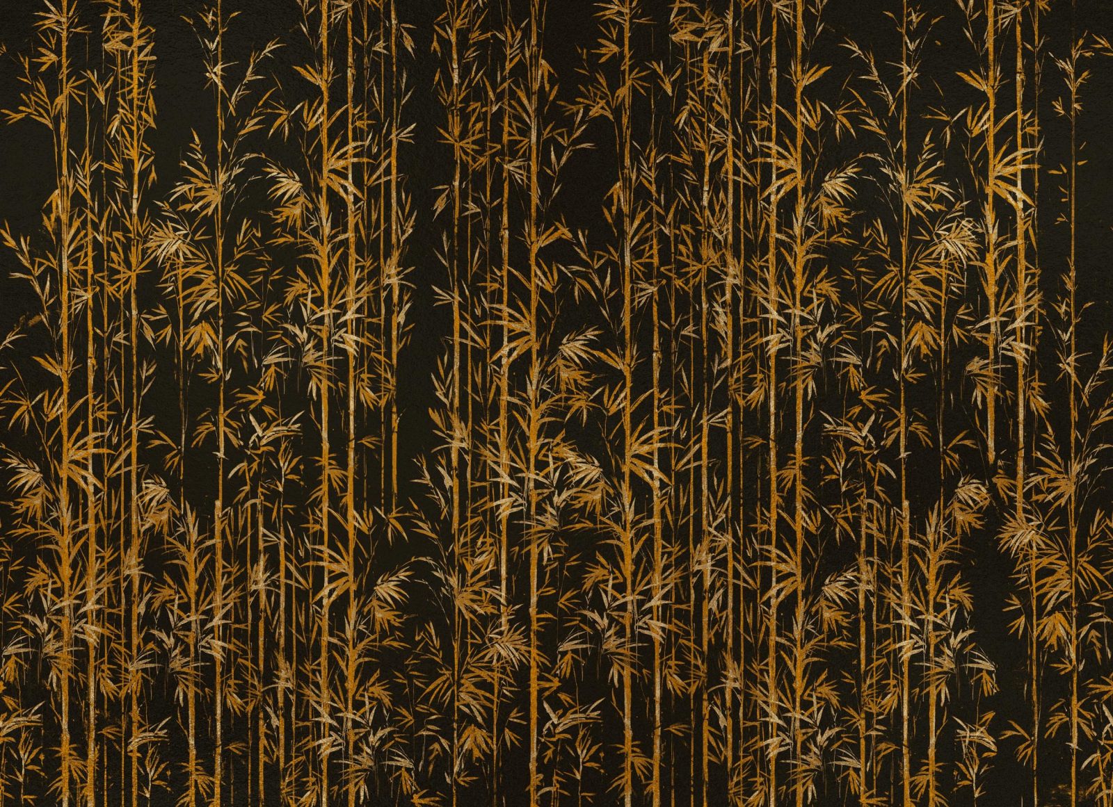 Seijaku, Gold, Coordonne