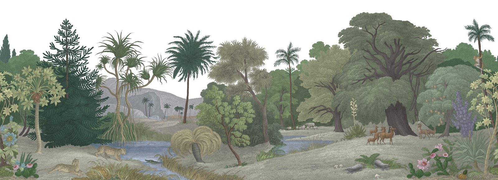 Jungle Land, Color, Rebel Walls