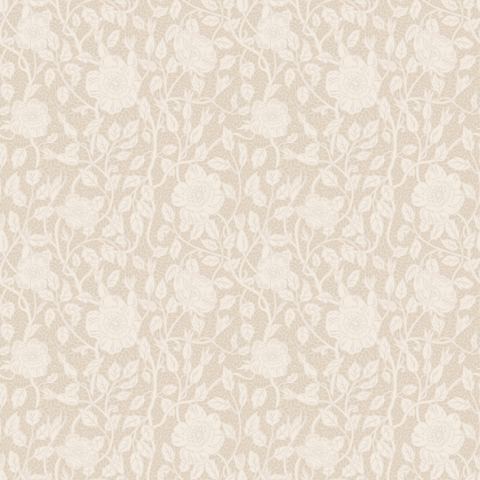 Anton, Sandstone, Sandberg, 5.3mp / rola