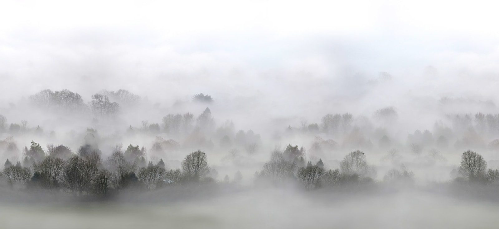 Morning Fog, 248x265cm, Rebel Walls