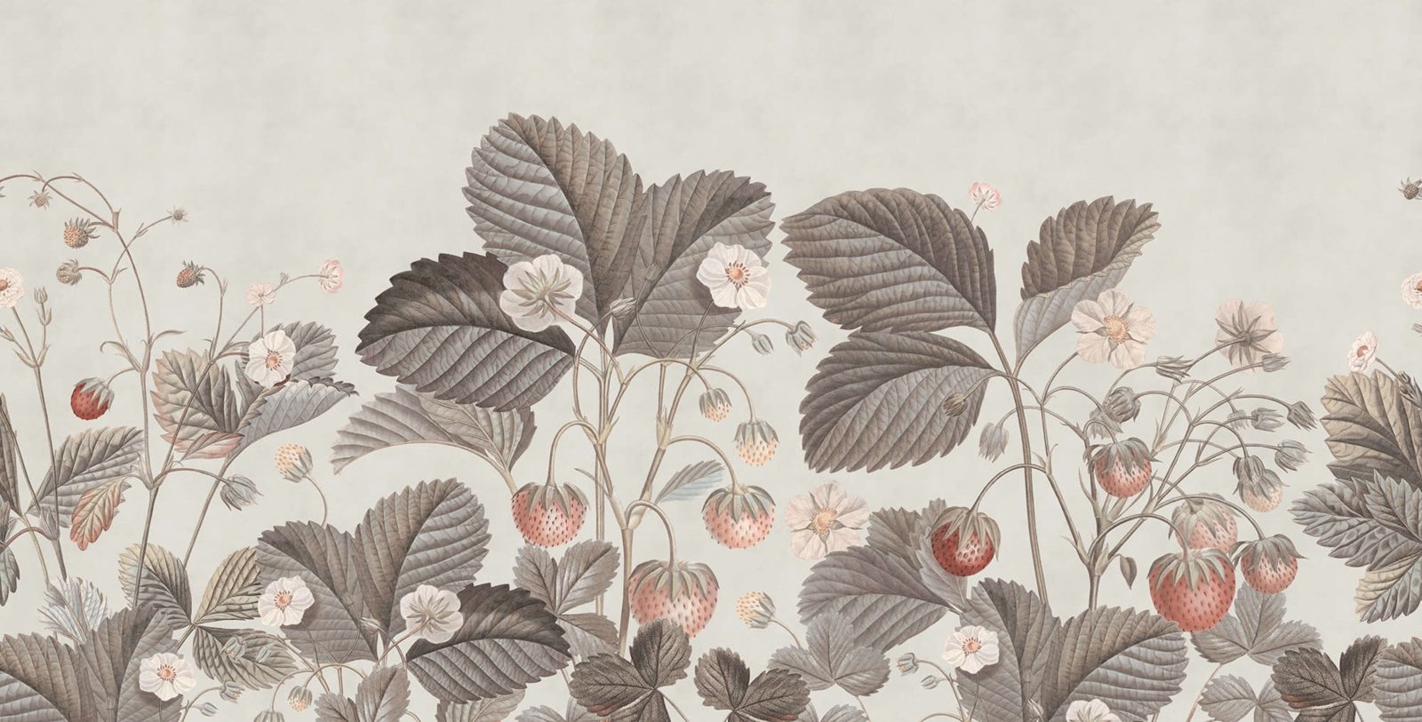 Wild Strawberries, Vintage, Rebel Walls