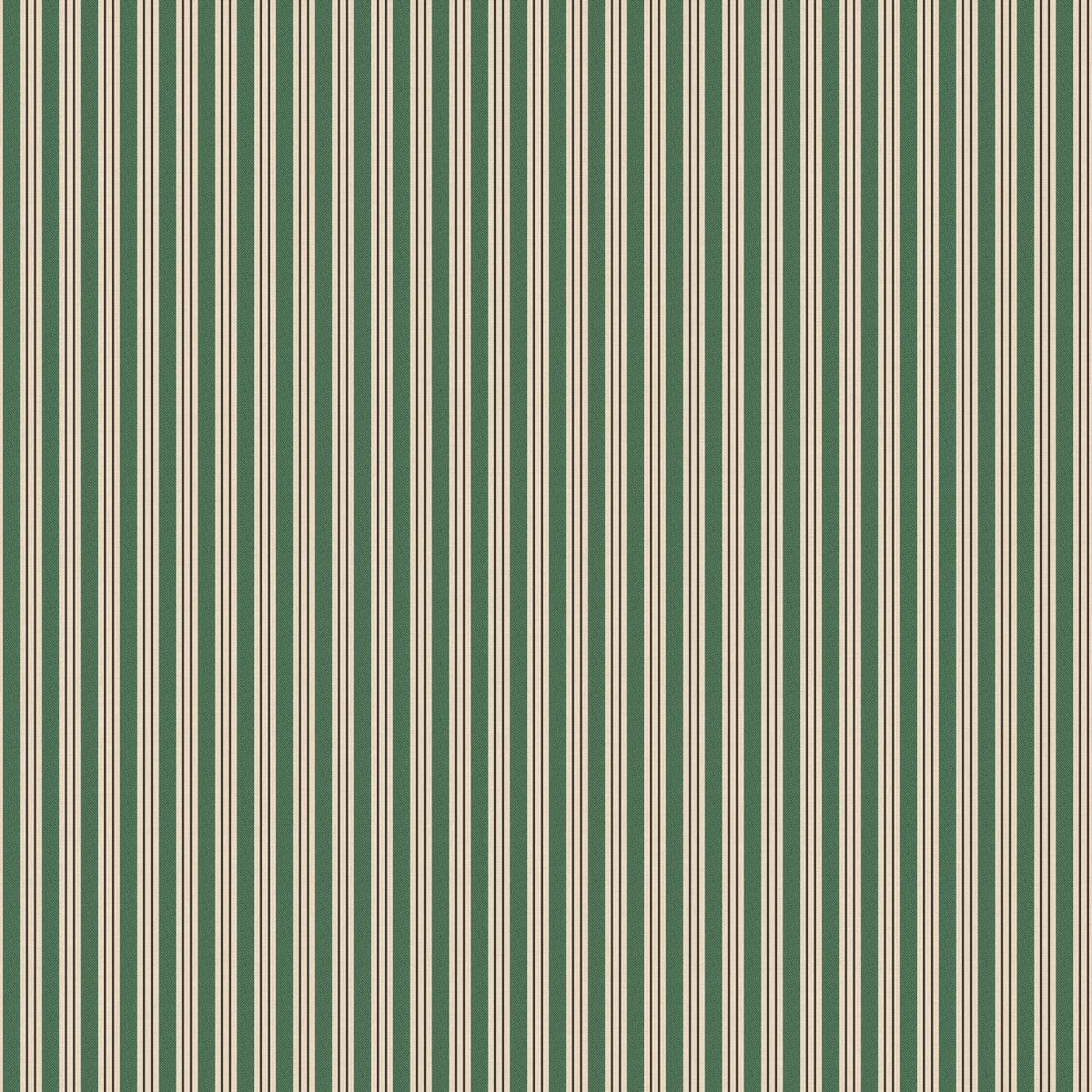 Linn, Green, Sandberg, 5.3mp / rola