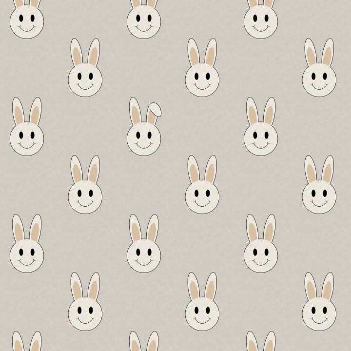 Year of the Rabbit Smiley, Sand, Rebel Walls