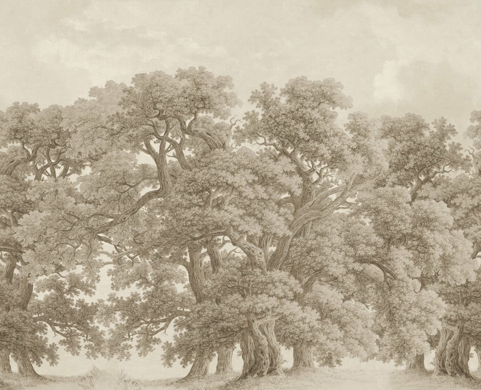 Vintage Oaks, Beige, Rebel Walls