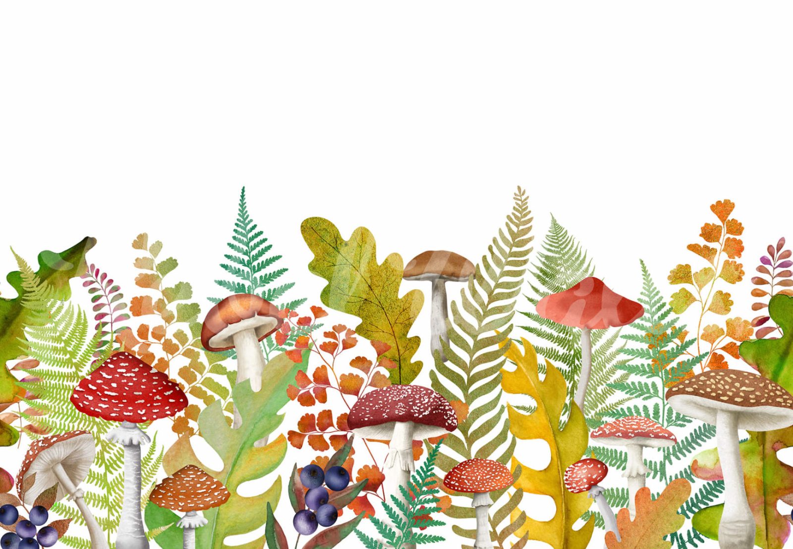 Autumn Meadow, Rainbow, Rebel Walls