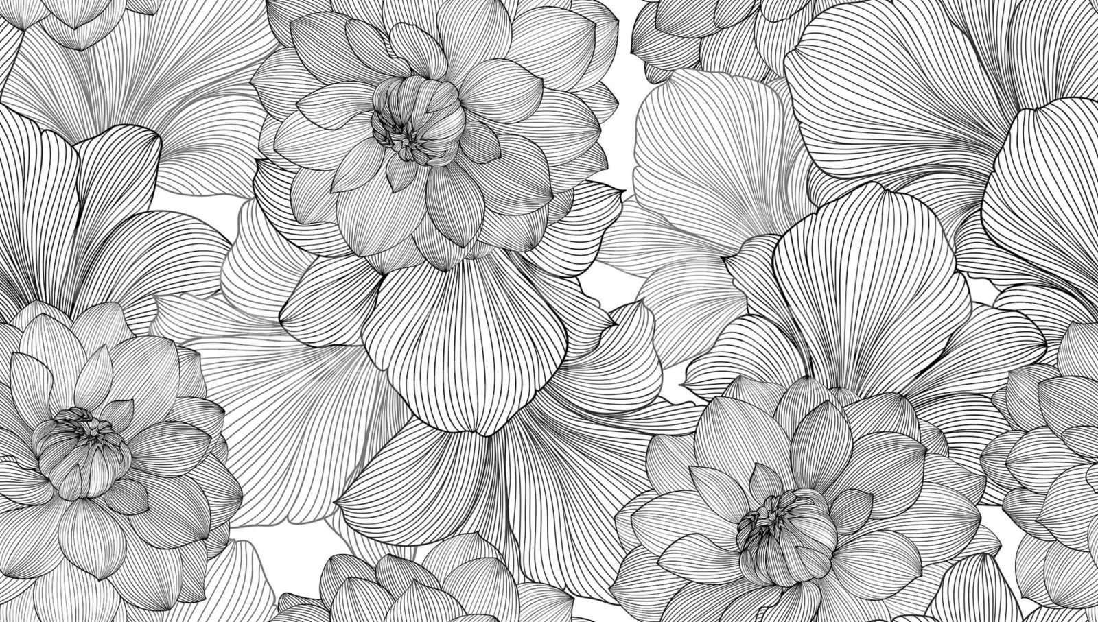 Bold Dahlia, Graphite, Rebel Walls