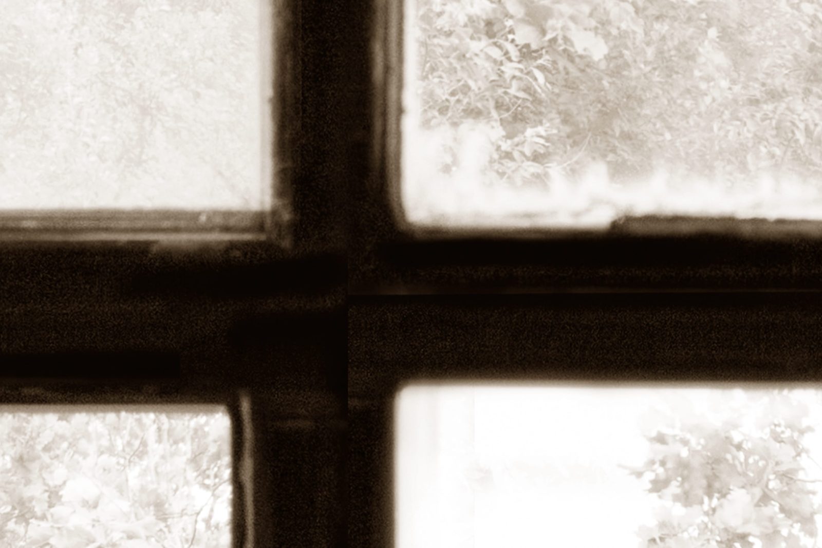 Factory Window, Sepia, Rebel Walls 4