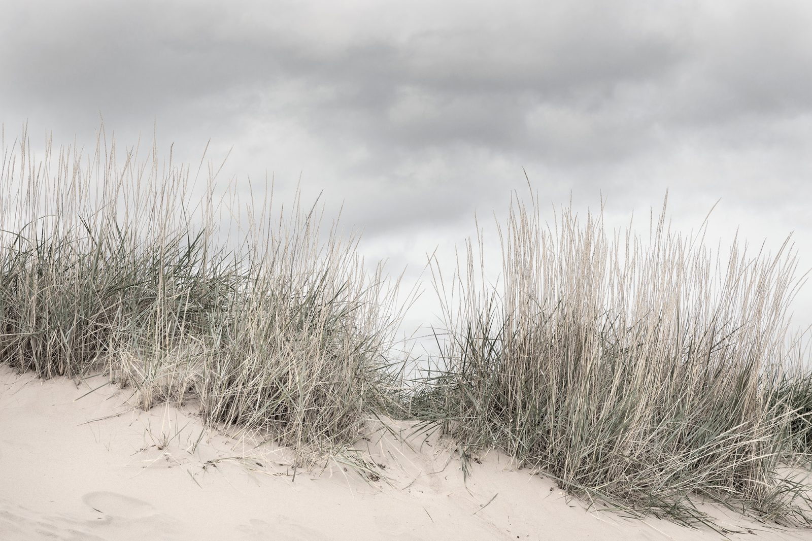 Pale Shore, Rebel Walls