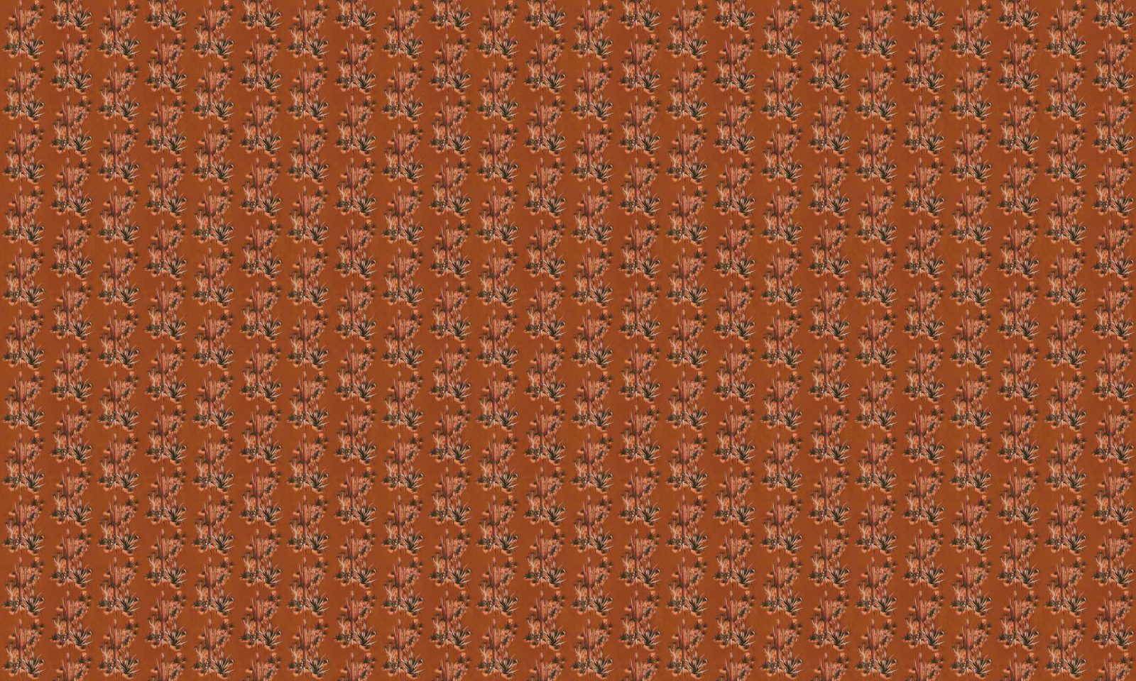 Grand Canyon, Clay, Coordonne 5mp / rola 3