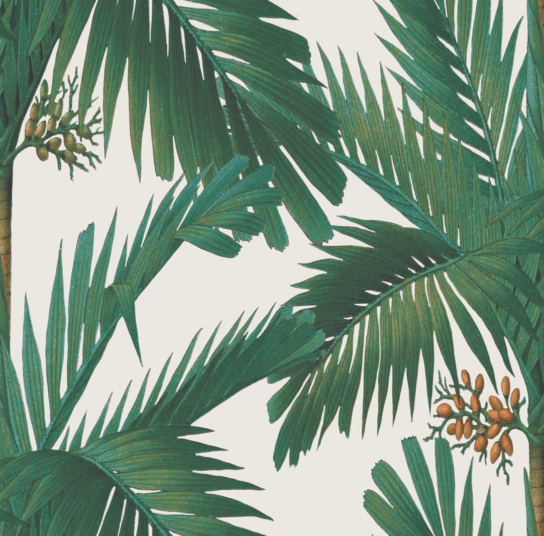 Palm Spring, Pearl, Rebel Walls, 5 mp / rola
