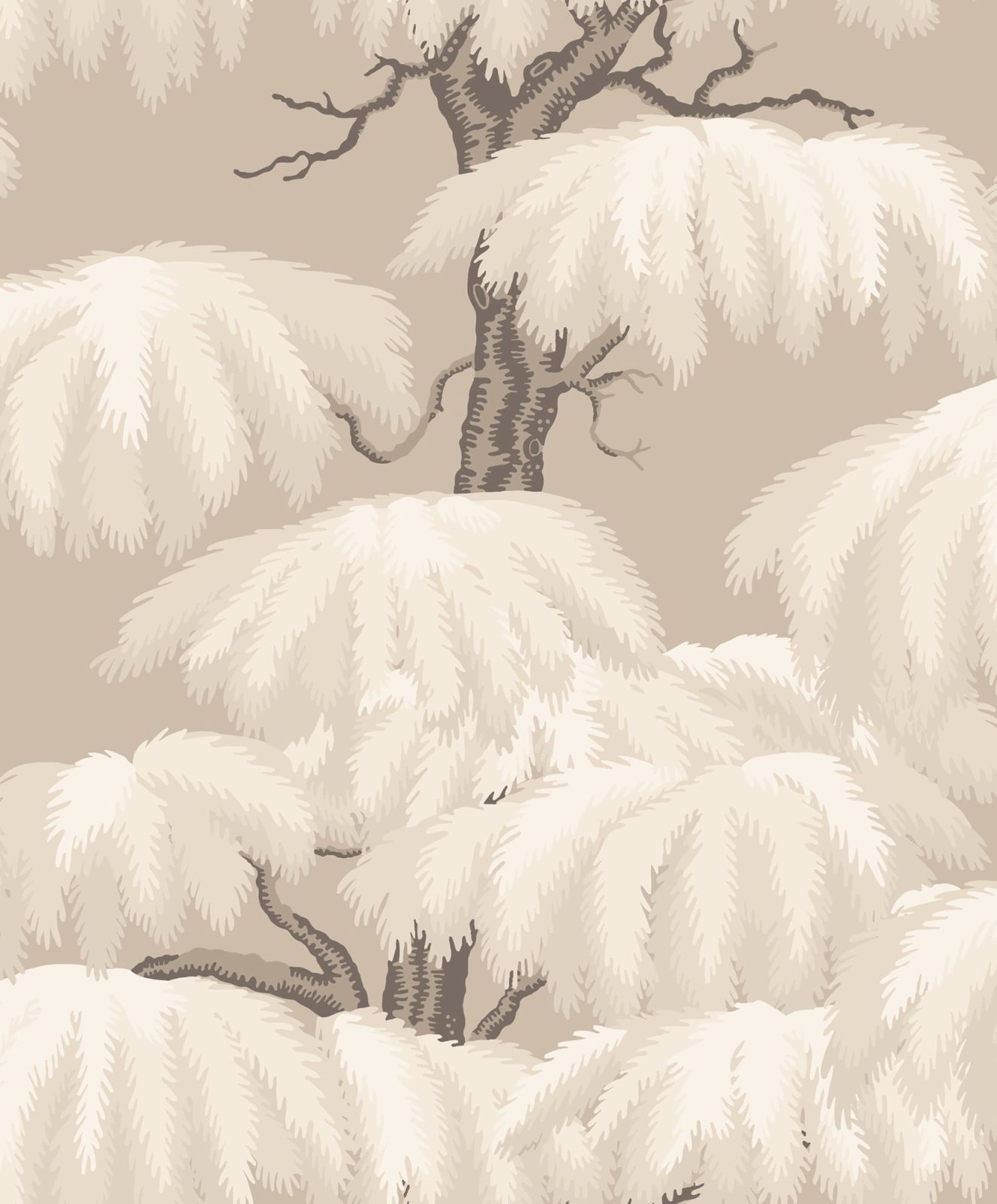 Alba, Beige, Sandberg, 5.3mp / rola