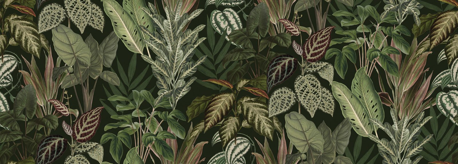 Mischievous Jungle, Lush, Rebel Walls