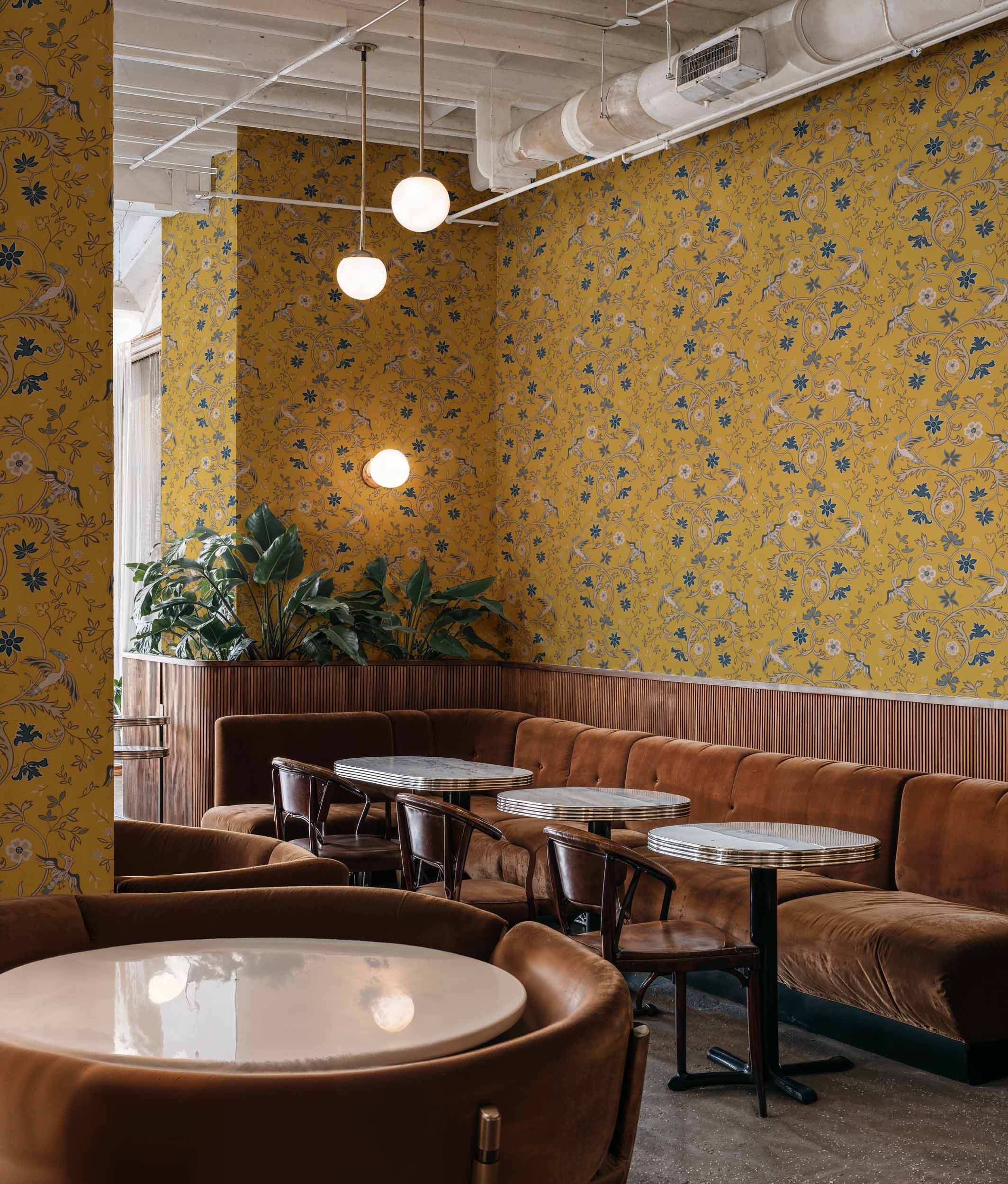 Antwerp Damask, Mustard, Coordonne, 5mp / rola 2