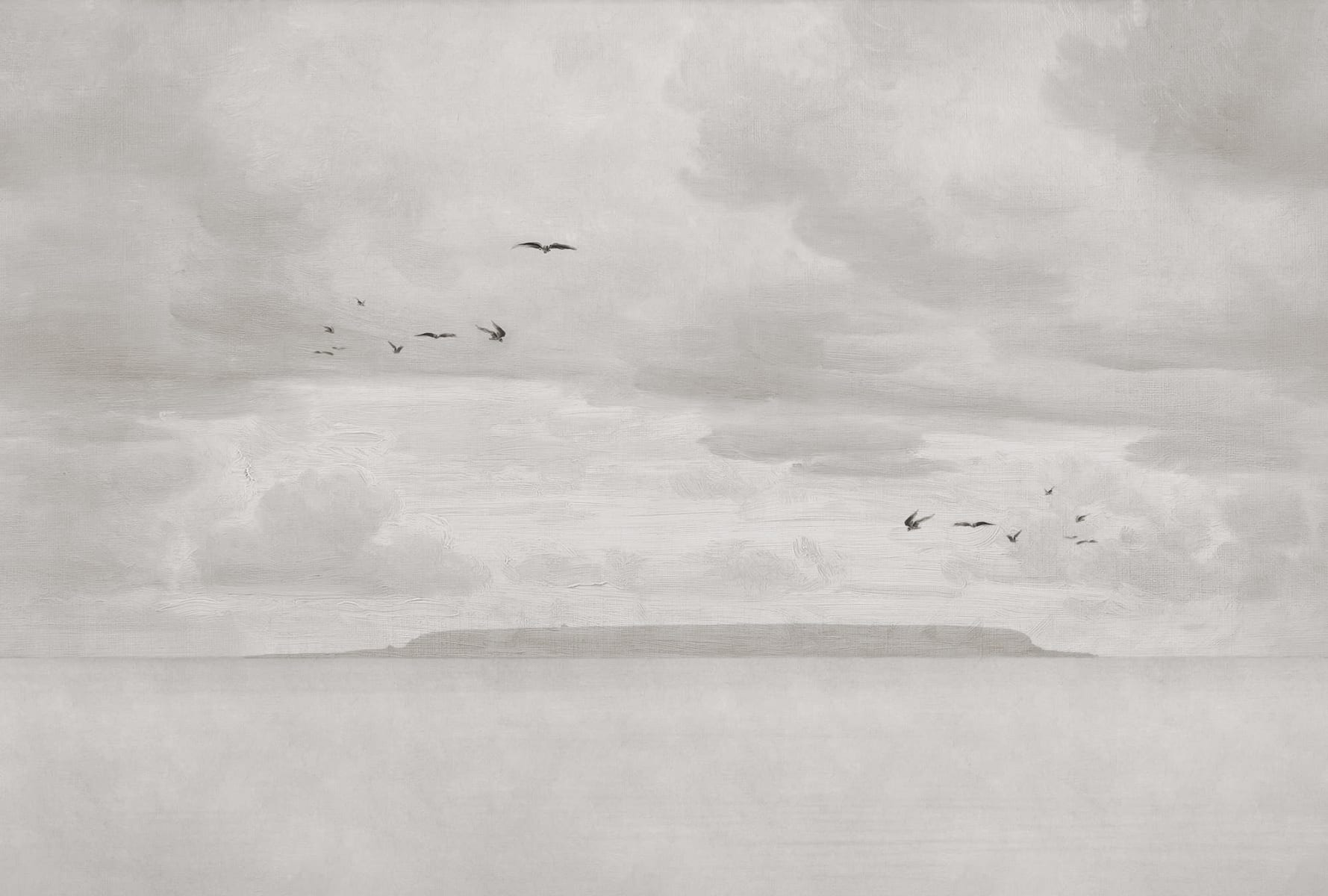 Seabirds, Beige, Rebel Walls