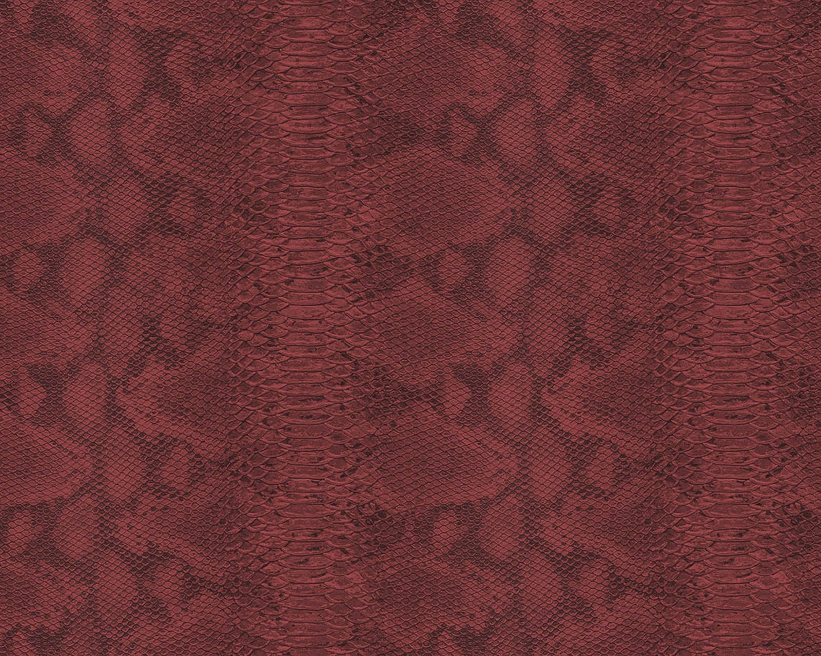 Snake Leather, 64785401, Coordonne