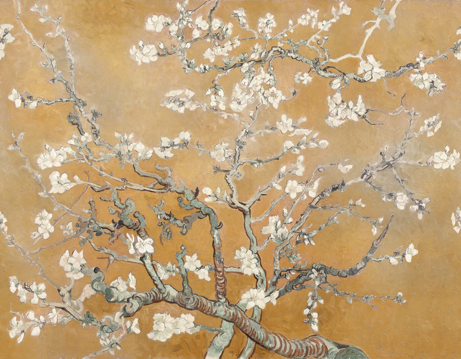 Almond Blossom, Orange, Rebel Walls