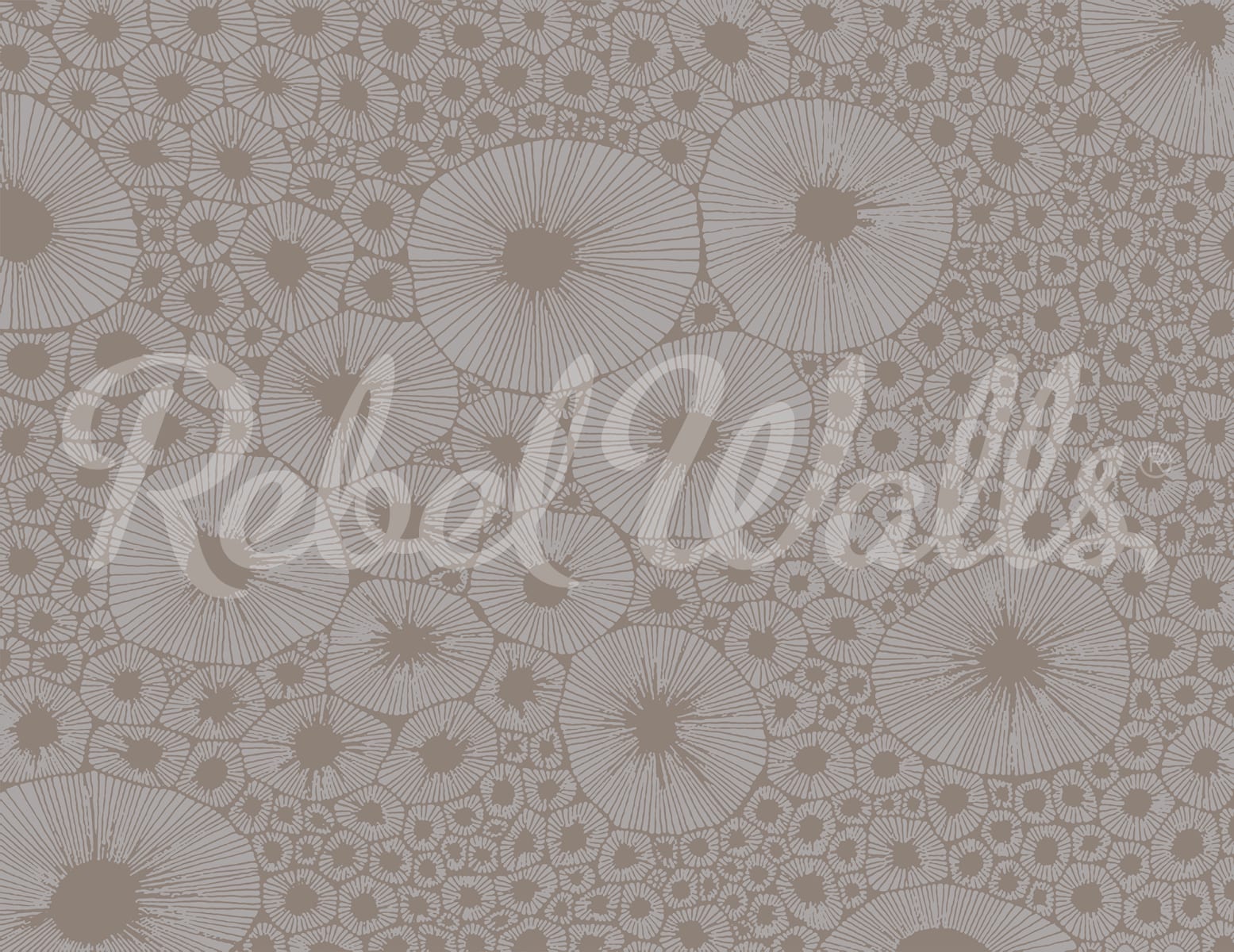 Bold Coral, Gray, Rebel Walls