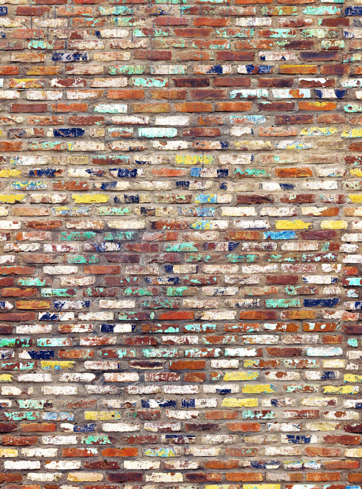 Color Tiles, Rebel Walls