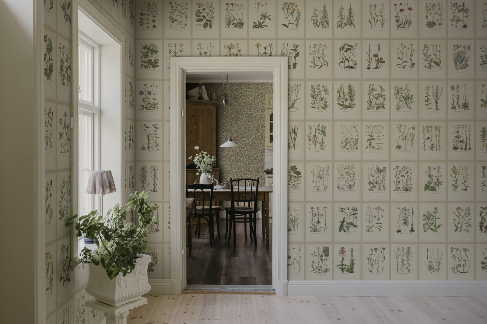 Botanica, Oat, Sandberg 3