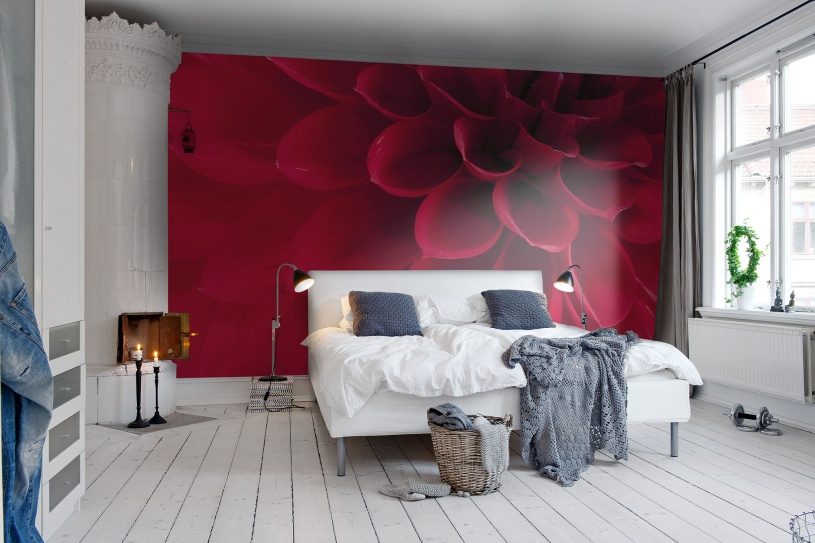 Dahlia, Rebel Walls 2