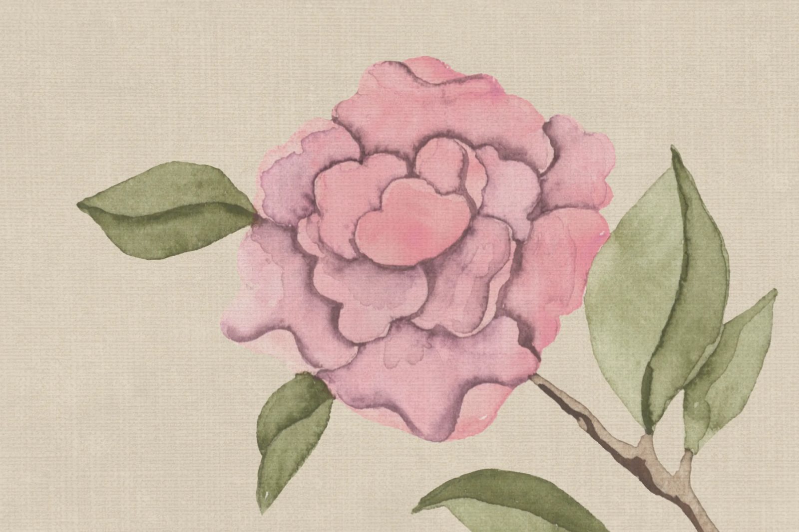 Chinoiserie Botanica, Pink, Rebel Walls 4