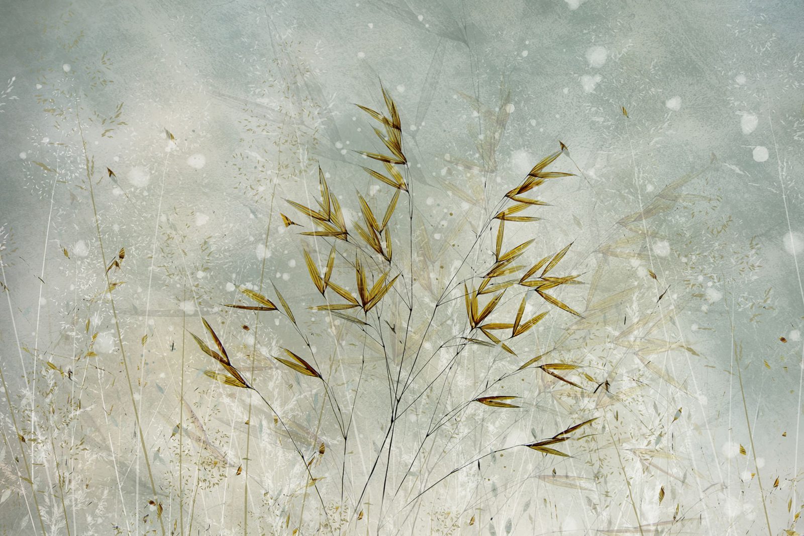 Golden Grain, Rebel Walls