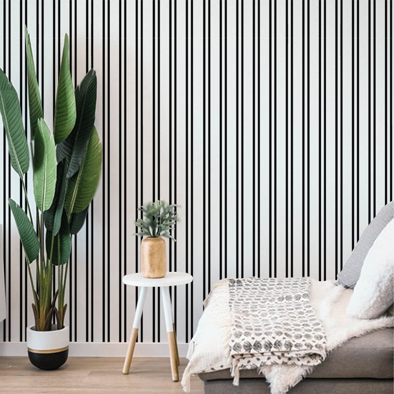 Black and White Stripes, VLAdiLA 2