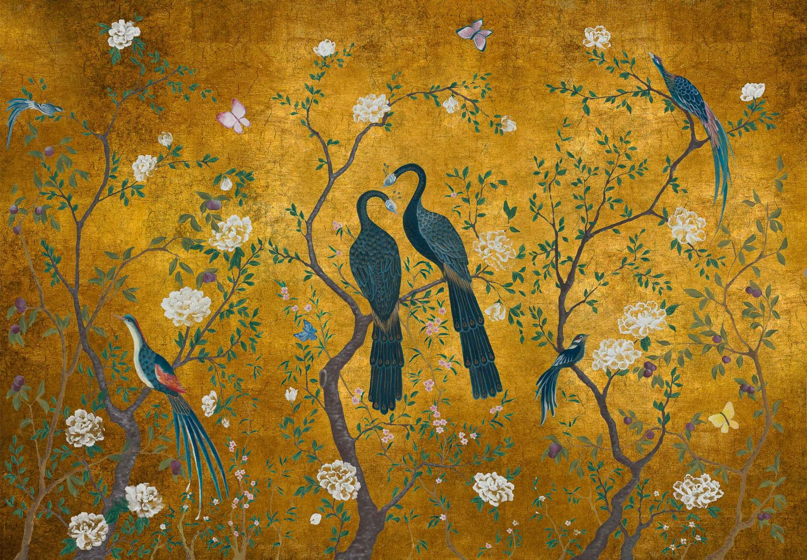 Core, Edo Gold, Coordonne