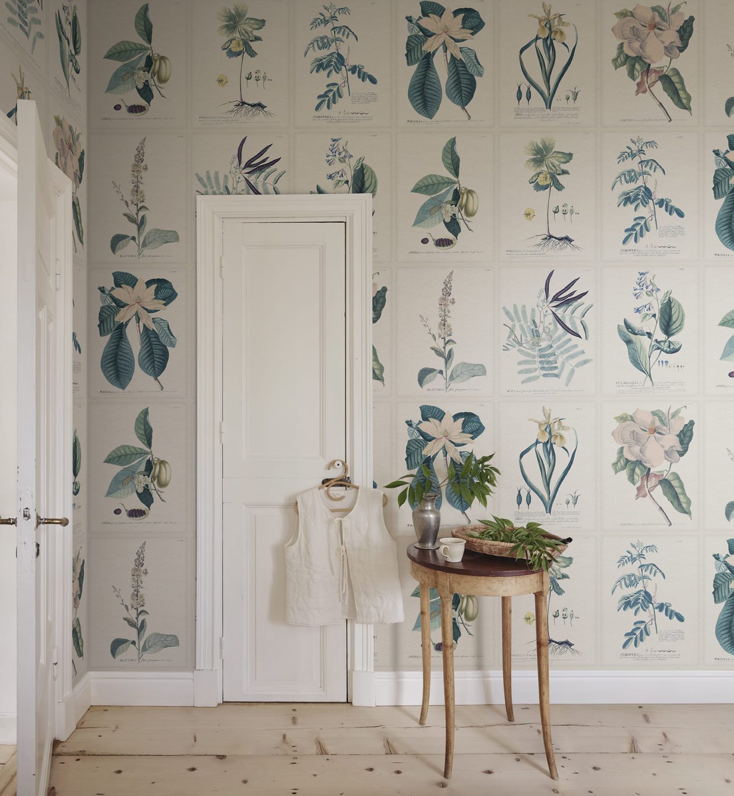 Flora, Blue, Sandberg 2