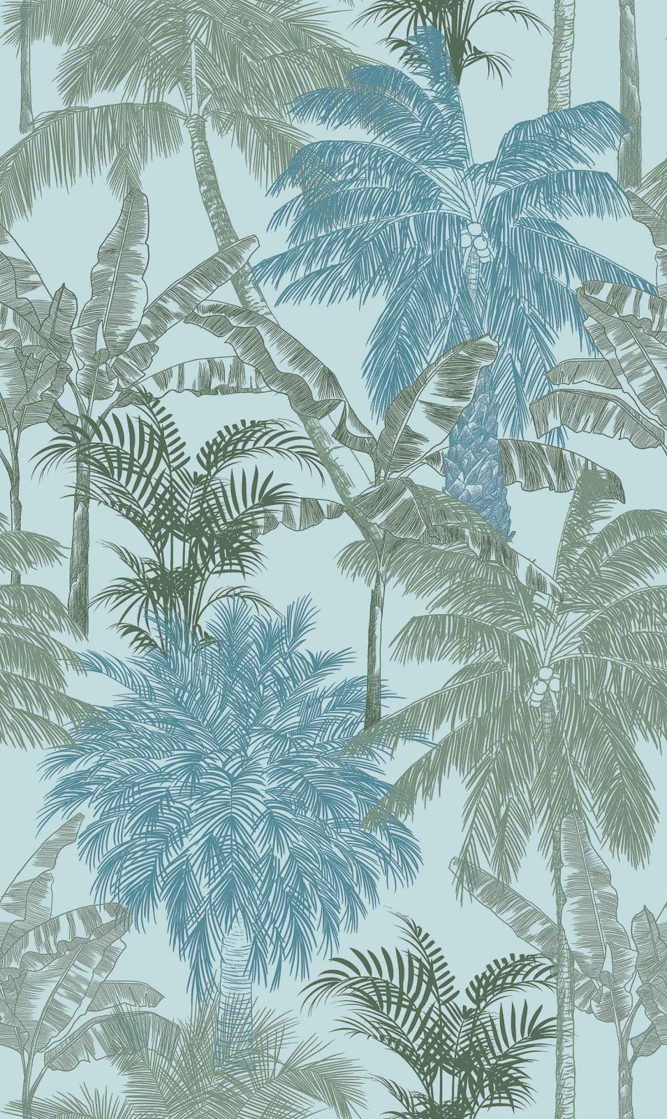 Palms, Caqui, Coordonne, 5mp / rola