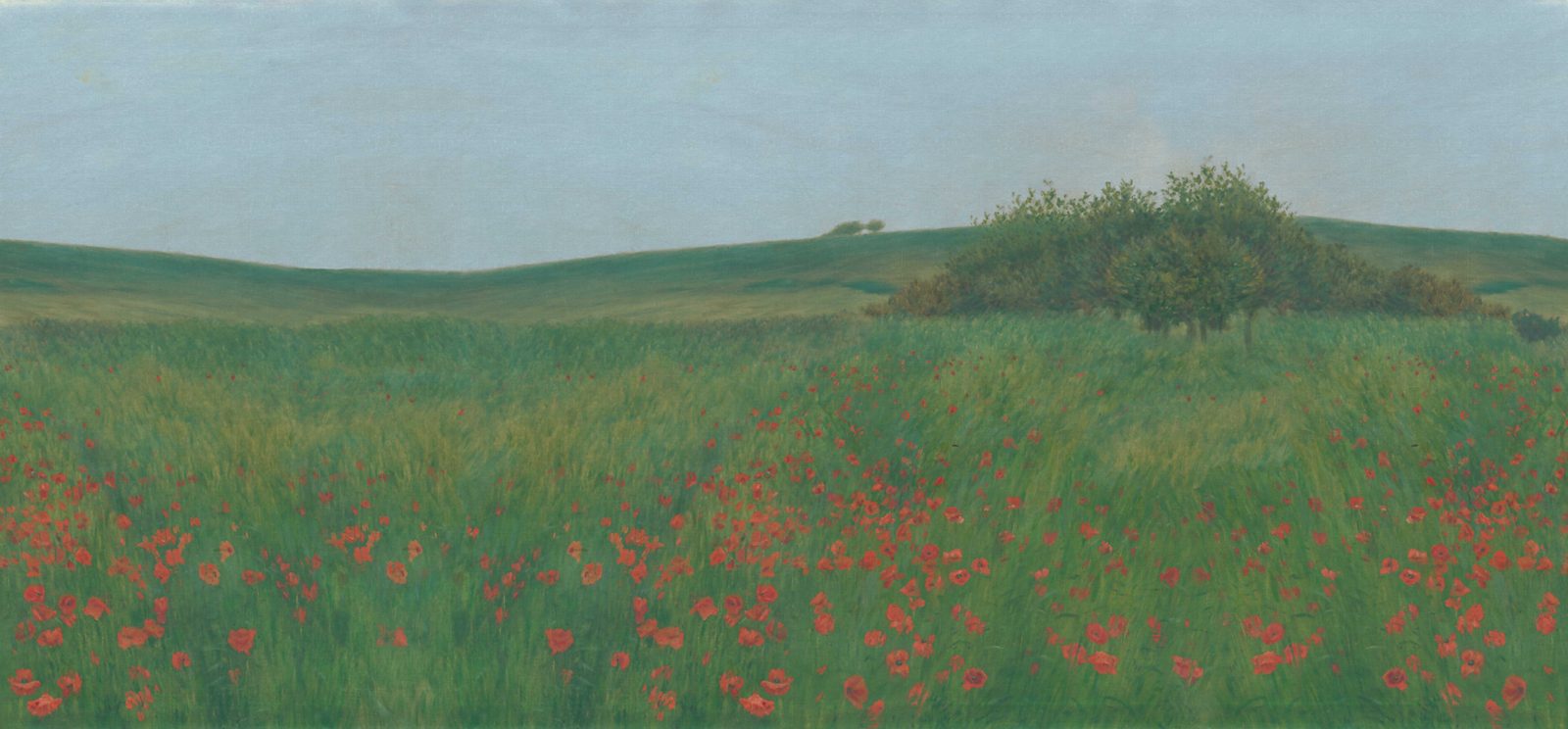 Poppy Landscape, Summer, Rebel Walls