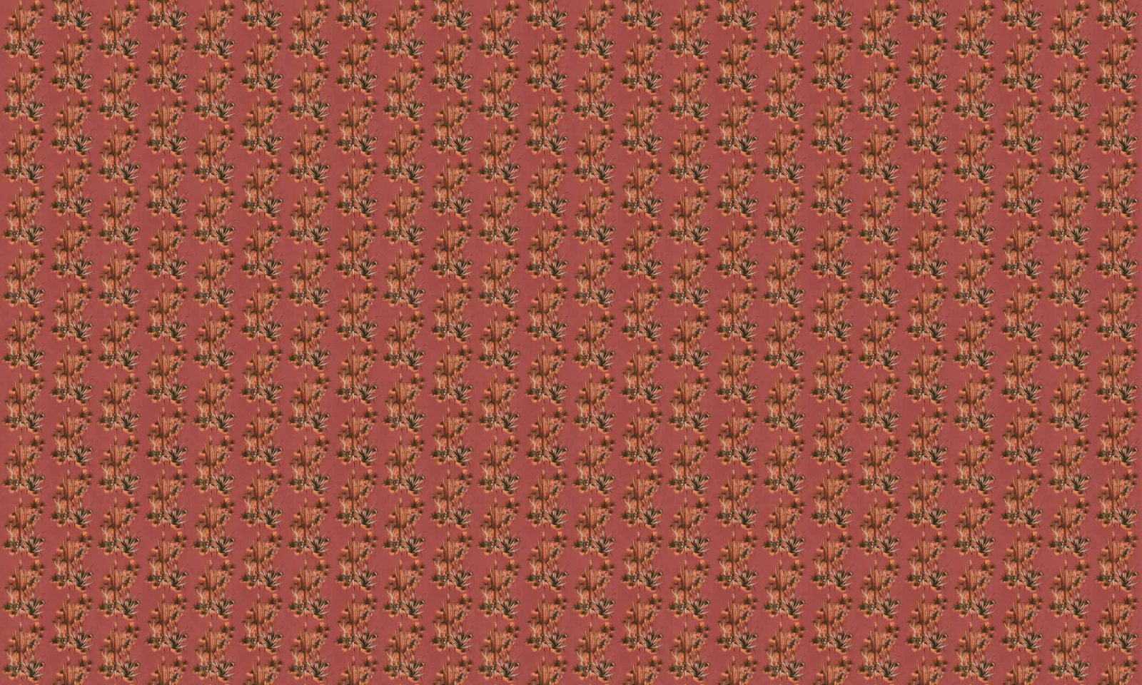 Grand Canyon, Coral, Coordonne 5mp / rola 3