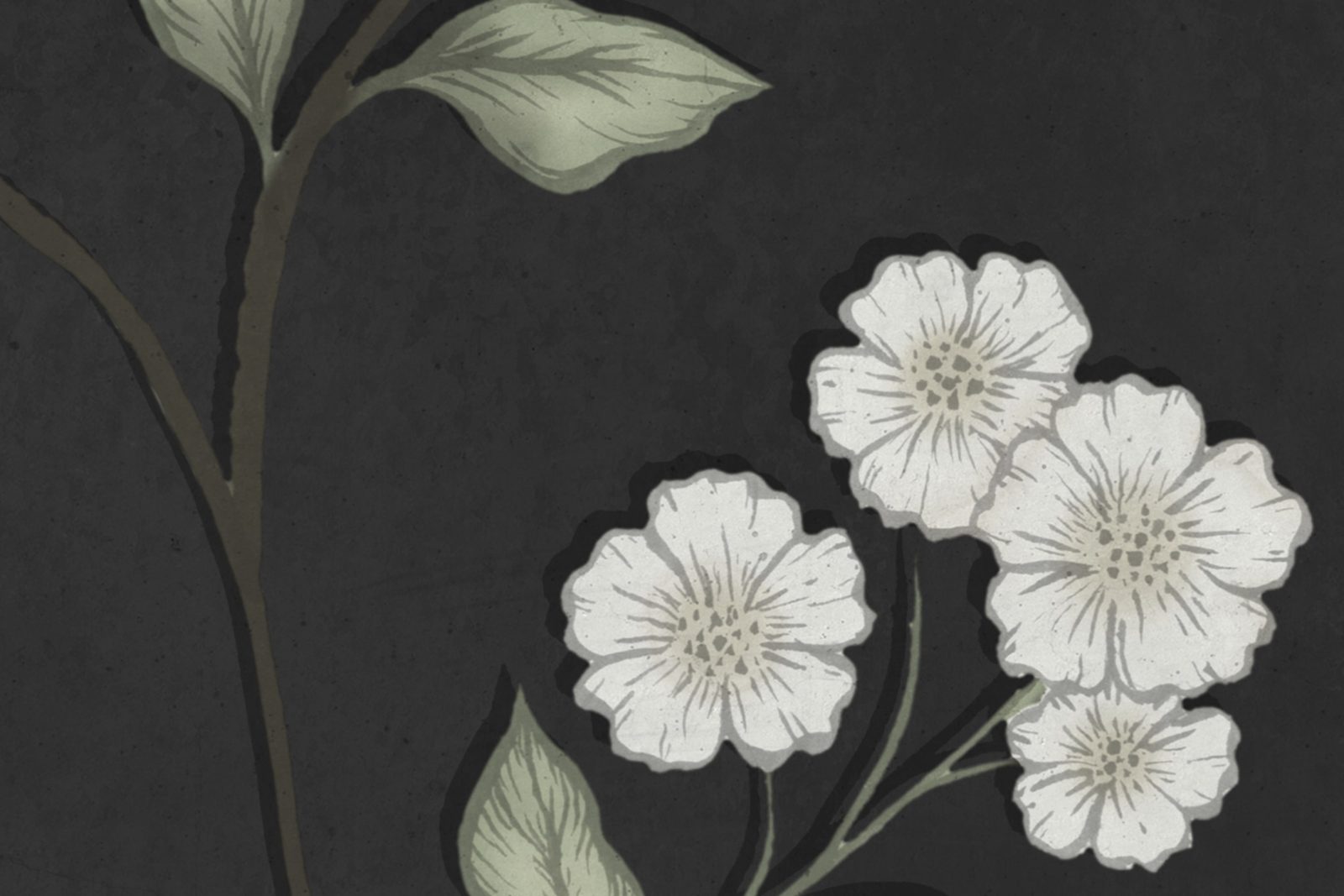 Serene Garden, Black, Rebel Walls 4