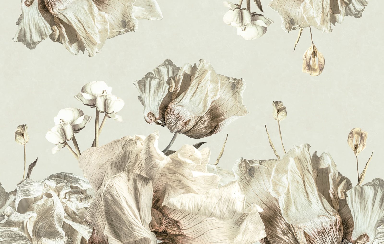 Dried Bouquet, Light, Rebel Walls