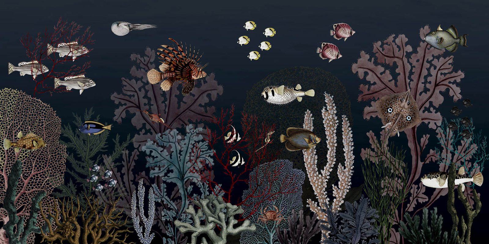 Roaring Reef - Blue, Kikki Belle