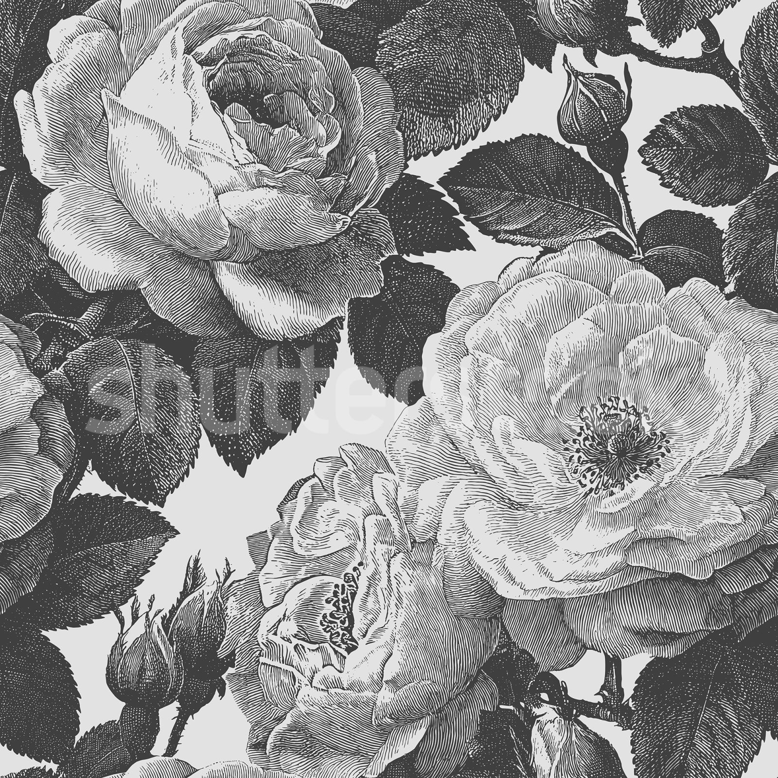 Bold Roses, Black & White, Rebel Walls