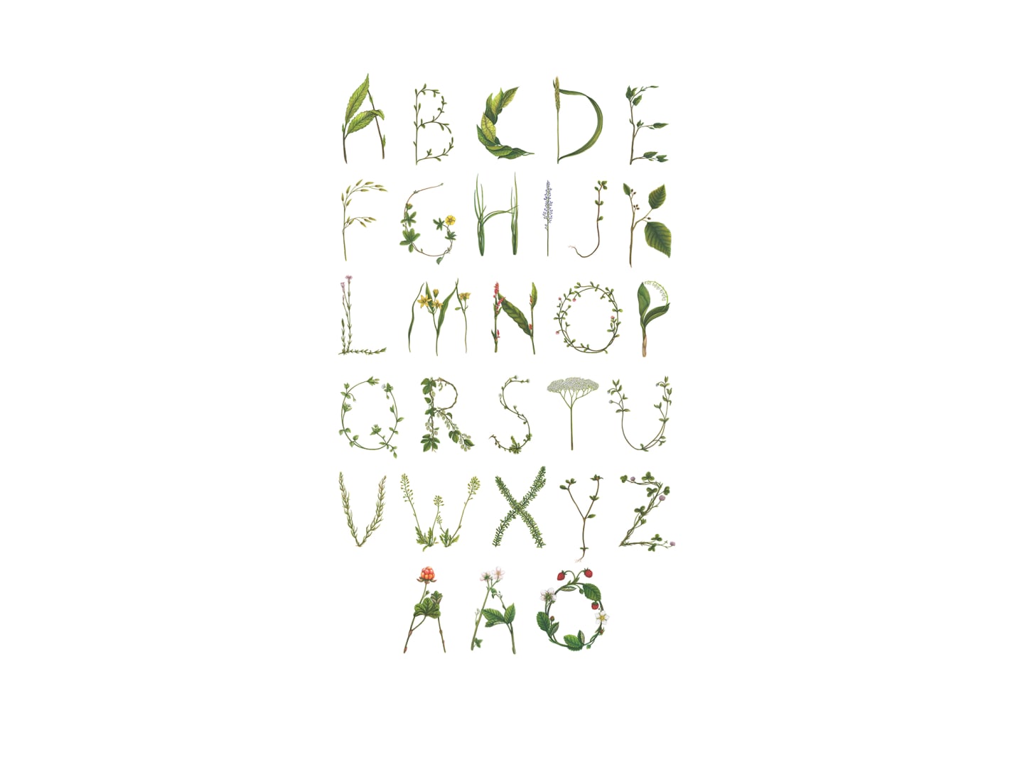 ABC for the Spelling Bee in Swedish, Rebel Walls