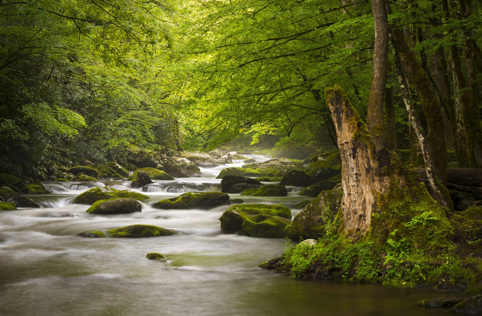 Gentle Flow, Rebel Walls