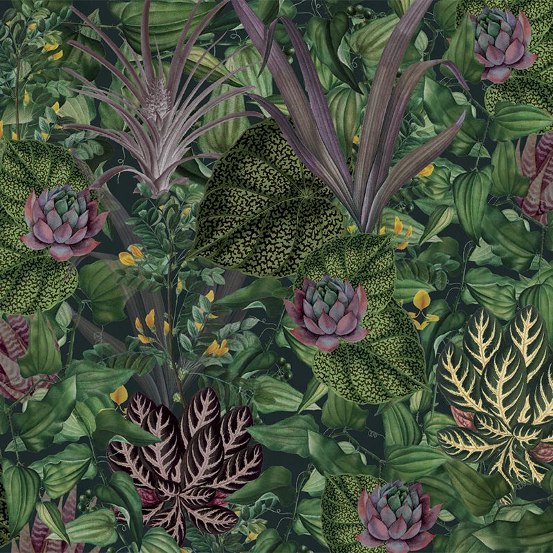 Green Jungle, VLAdiLA